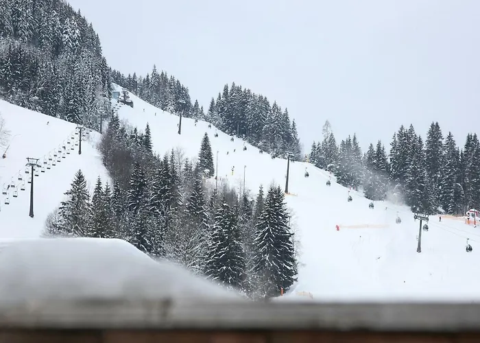 City Apartments Mozart Apartment