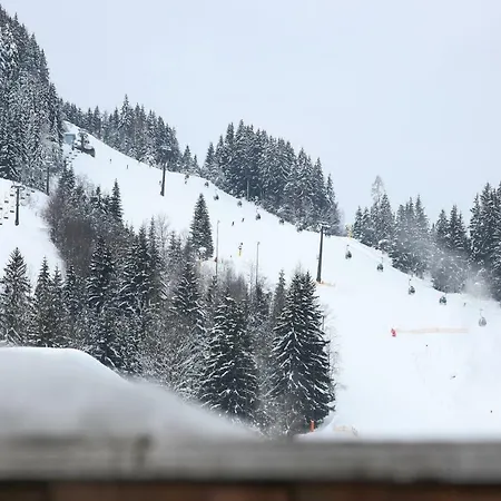 Mozart Διαμέρισμα